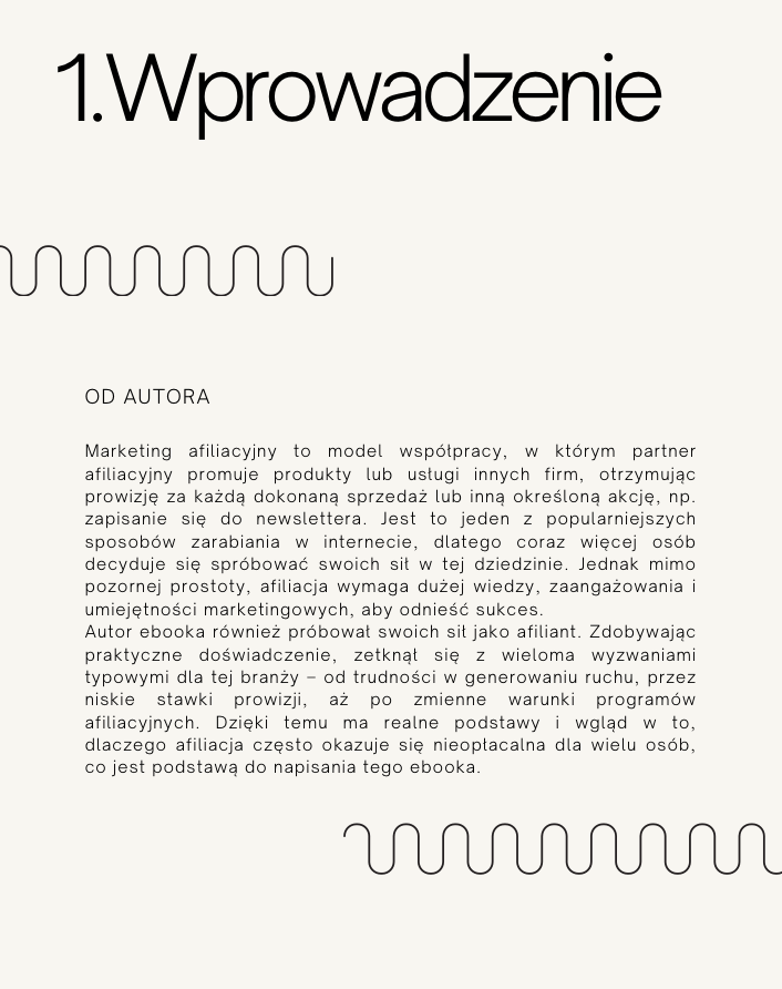 Afliliacja bez lukru - Ebook